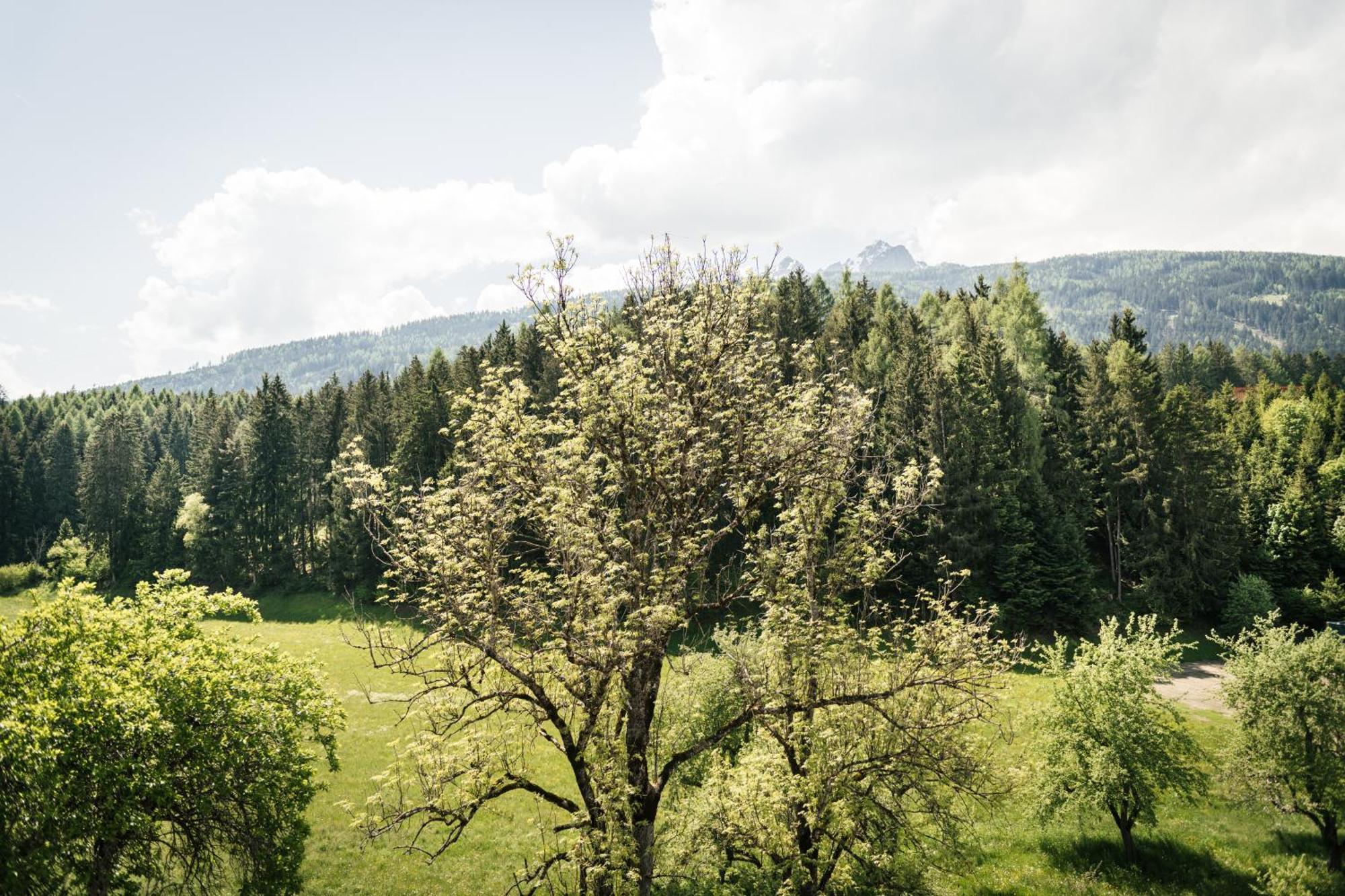 Edenhauserhof Neu Gotzens Buitenkant foto